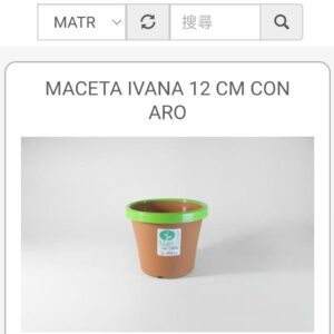 MACETA IVANA 12 CM CON ARO