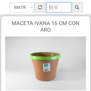 MACETA IVANA 16 CM CON ARO